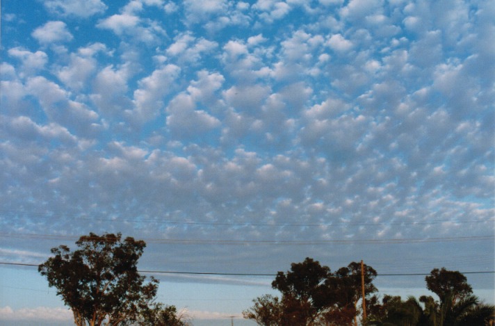 altocumulus mackerel_sky : Schofields, NSW   21 April 1999