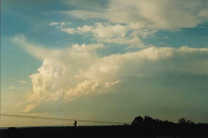 altocumulus altocumulus_cloud : Schofields, NSW   22 September 1999