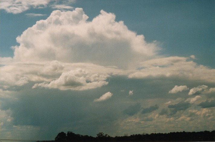 thunderstorm cumulonimbus_incus : Schofields, NSW   2 October 1999