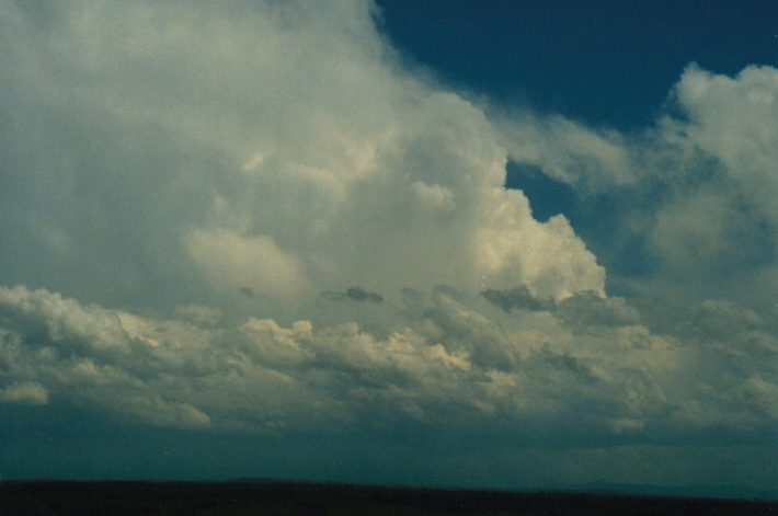 thunderstorm cumulonimbus_incus : Parrots Nest, NSW   24 October 1999