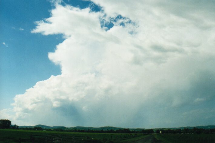 raincascade precipitation_cascade : Tatham, NSW   24 October 1999