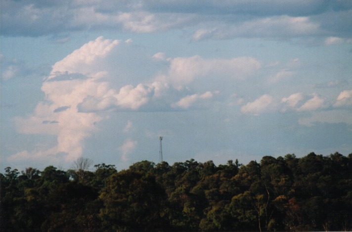 thunderstorm cumulonimbus_calvus : Schofields, NSW   27 October 1999