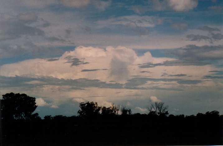 thunderstorm cumulonimbus_incus : Richmond, NSW   6 November 1999