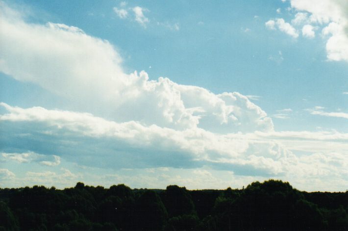 thunderstorm cumulonimbus_incus : Wollongbar, NSW   7 November 1999