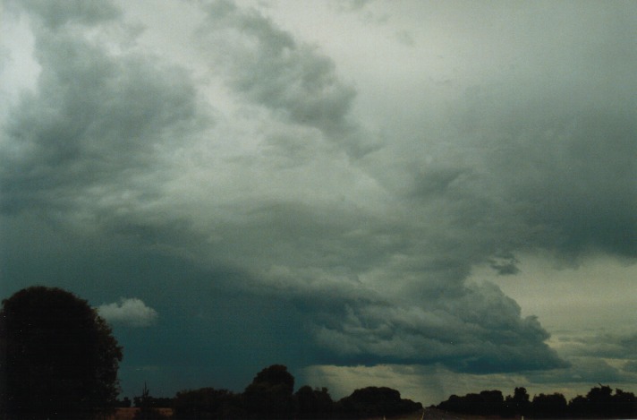 cumulonimbus thunderstorm_base : S of Gumtree, Qld   22 November 1999