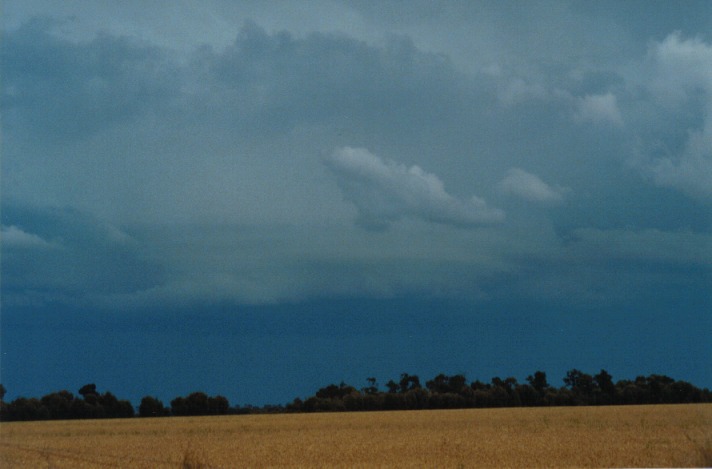 cumulonimbus thunderstorm_base : S of Condamine, Qld   22 November 1999