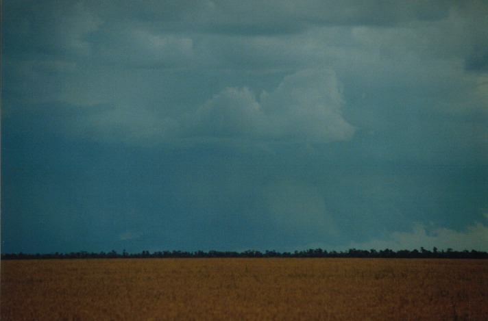 cumulonimbus thunderstorm_base : S of Condamine, Qld   22 November 1999