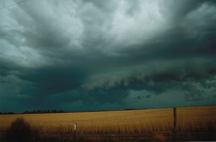 shelfcloud shelf_cloud : S of Condamine, Qld   22 November 1999