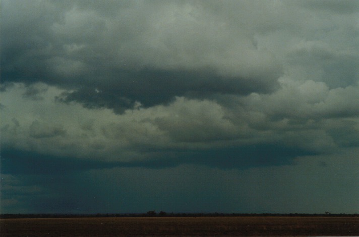 cumulonimbus thunderstorm_base : S of Wyandra, Qld   26 November 1999