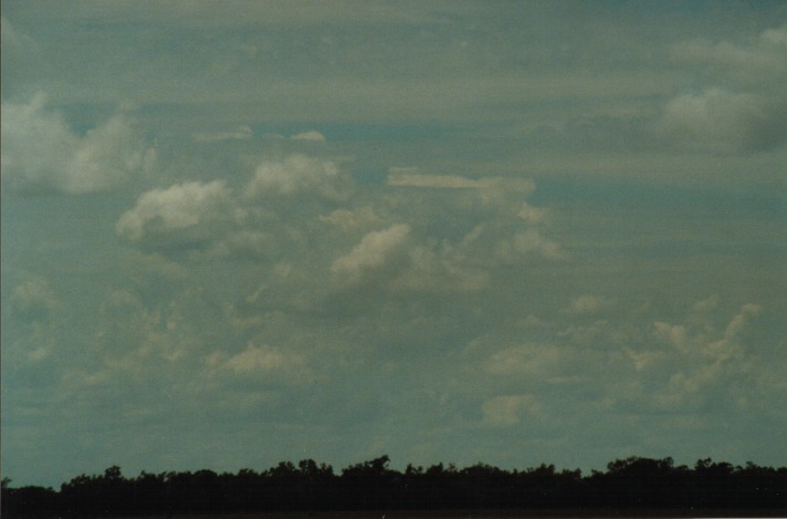 cumulus congestus : S of Cunumulla, Qld   27 November 1999