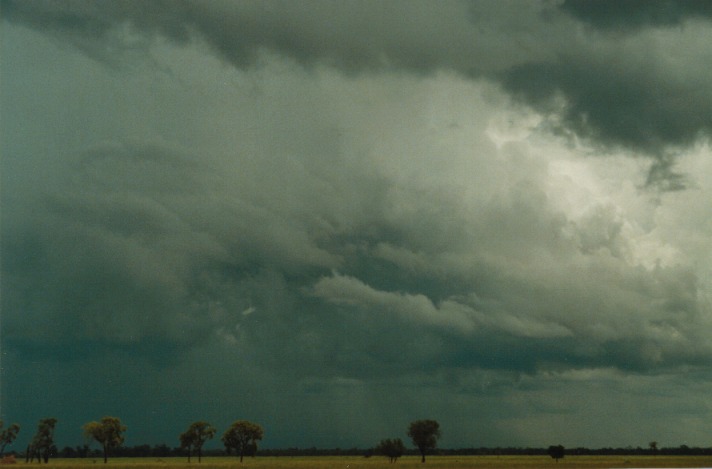 cumulonimbus thunderstorm_base : S of Cunumulla, Qld   27 November 1999