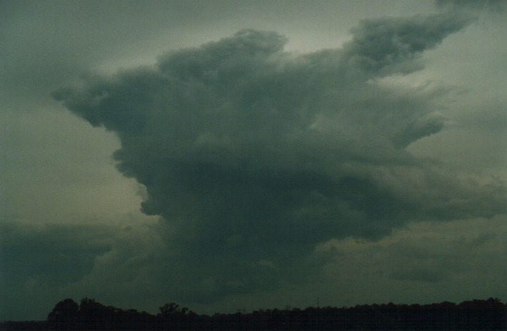 altostratus altostratus_cloud : Schofields, NSW   27 December 1999