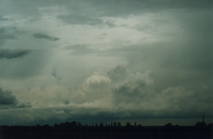 thunderstorm cumulonimbus_incus : Freemans Reach, NSW   28 December 1999