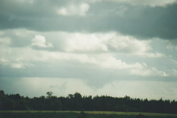 stratus stratus_cloud : Woodburn, NSW   31 December 1999