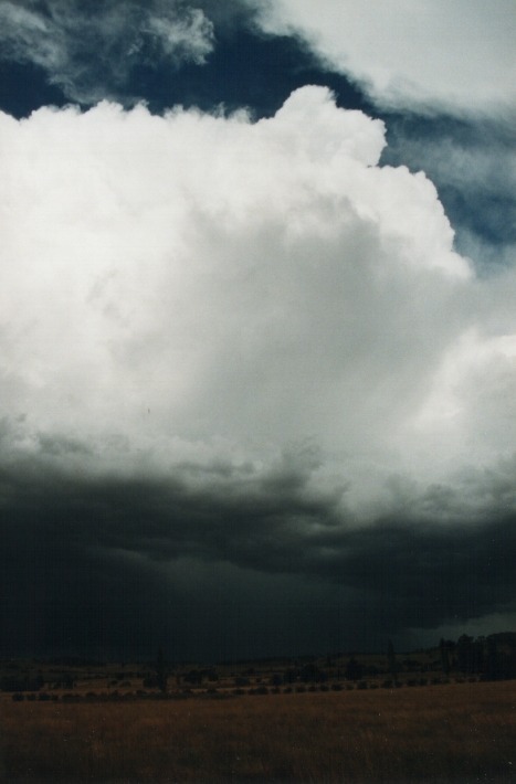 cumulonimbus thunderstorm_base : Glencoe, NSW   17 January 2000