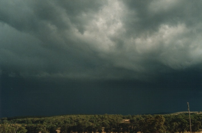 cumulonimbus thunderstorm_base : 30km W of Glen Innes, NSW   17 January 2000