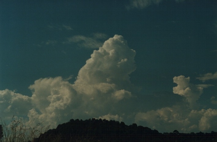 thunderstorm cumulonimbus_calvus : near Lismore, NSW   21 January 2000