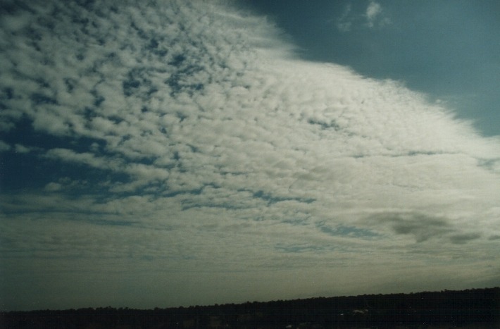 stratocumulus stratocumulus_cloud : Schofields, NSW   24 January 2000