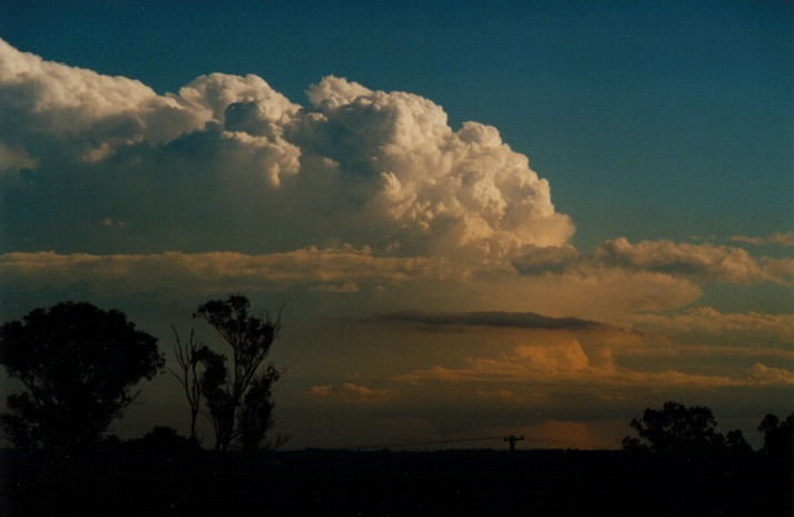 updraft thunderstorm_updrafts : Schofields, NSW   9 March 2000