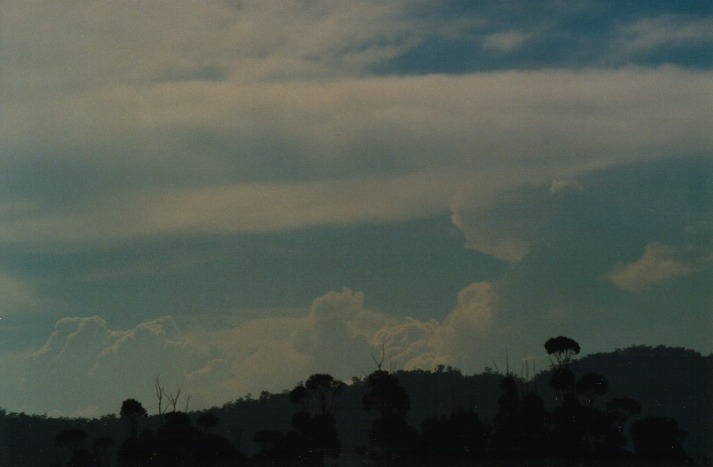 thunderstorm cumulonimbus_incus : Denman, NSW   19 March 2000