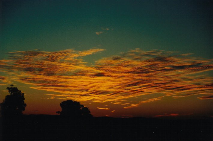 altocumulus mackerel_sky : McLeans Ridges, NSW   28 June 2000