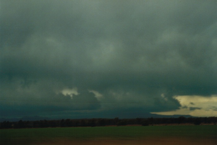 cumulonimbus thunderstorm_base : Narrabri, NSW   10 July 2000