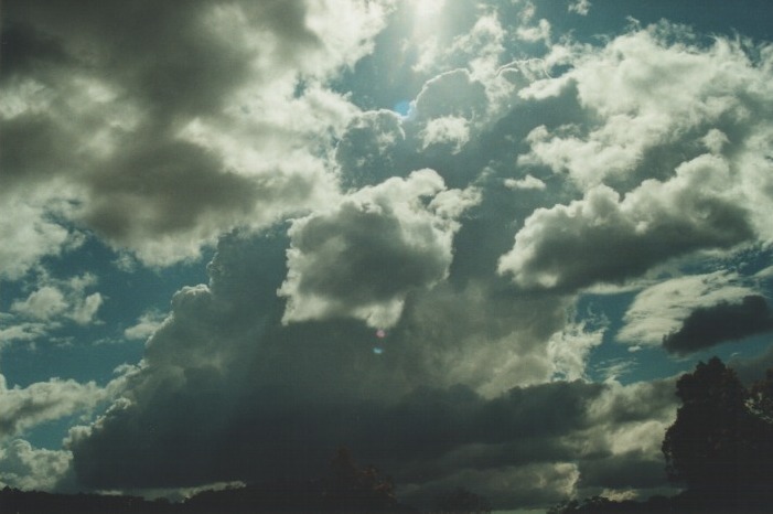 thunderstorm cumulonimbus_calvus : Howes Valley, NSW   20 August 2000