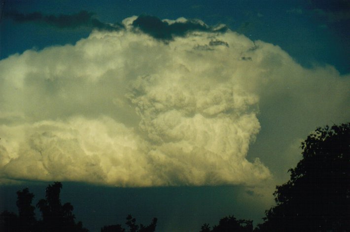 updraft thunderstorm_updrafts : McLeans Ridges, NSW   23 August 2000