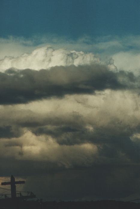 thunderstorm cumulonimbus_calvus : Northbridge, NSW   28 August 2000