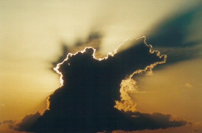 cumulus congestus : Appin, NSW   28 September 2000