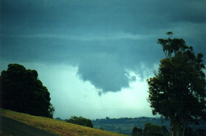 cumulonimbus thunderstorm_base : McLeans Ridges, NSW   17 October 2000