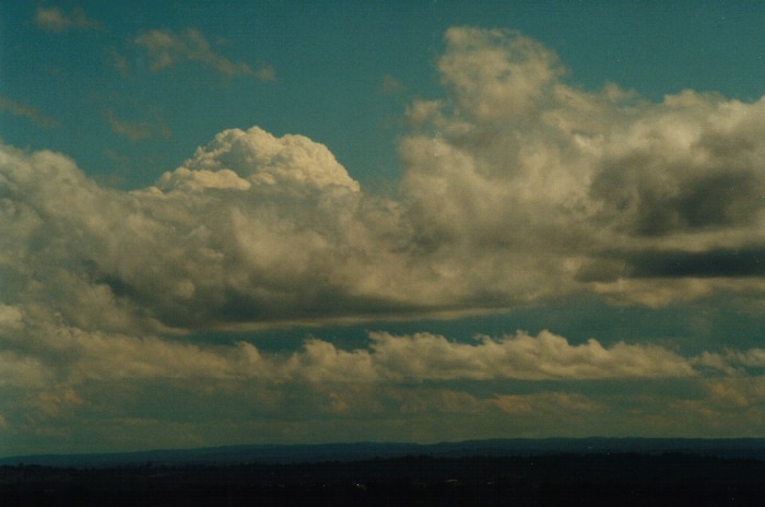 thunderstorm cumulonimbus_calvus : Kemps Creek, NSW   19 October 2000