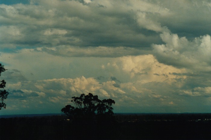 thunderstorm cumulonimbus_incus : Kemps Creek, NSW   19 October 2000