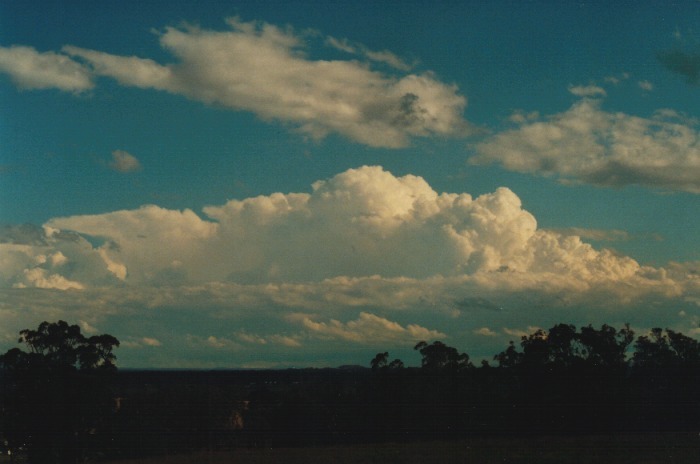 thunderstorm cumulonimbus_incus : Kemps Creek, NSW   19 October 2000