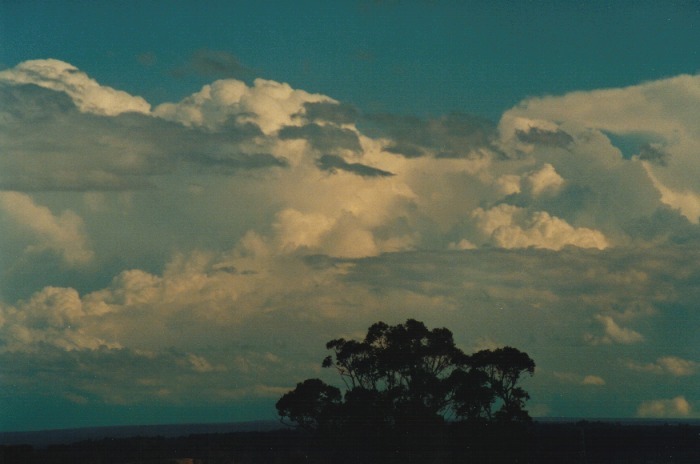 thunderstorm cumulonimbus_incus : Kemps Creek, NSW   19 October 2000