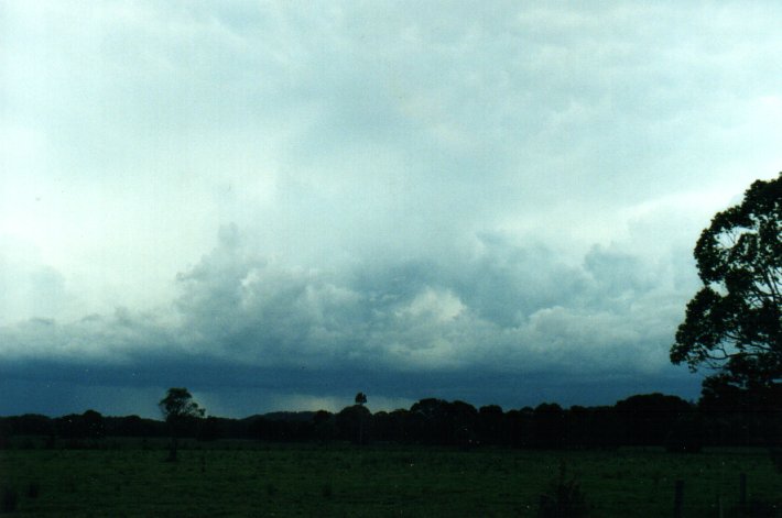 cumulonimbus thunderstorm_base : Meerschaum Vale, NSW   25 October 2000