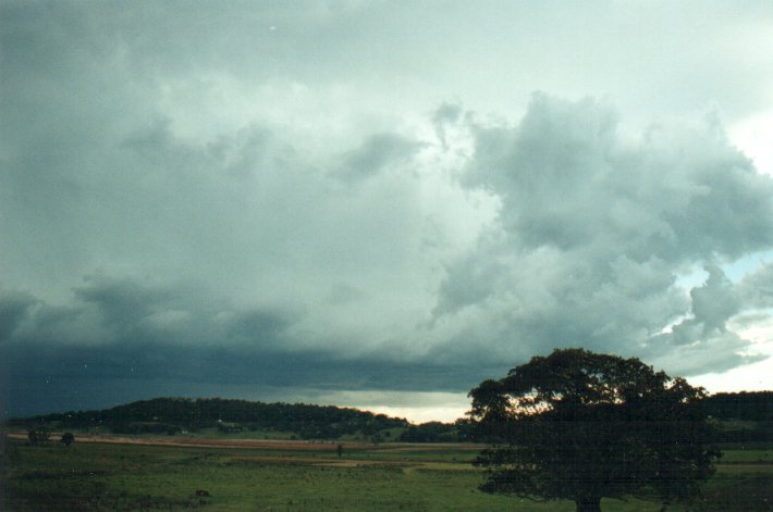 cumulonimbus thunderstorm_base : Meerschaum Vale, NSW   25 October 2000