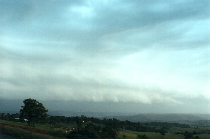 cumulonimbus thunderstorm_base : McLeans Ridges, NSW   26 October 2000