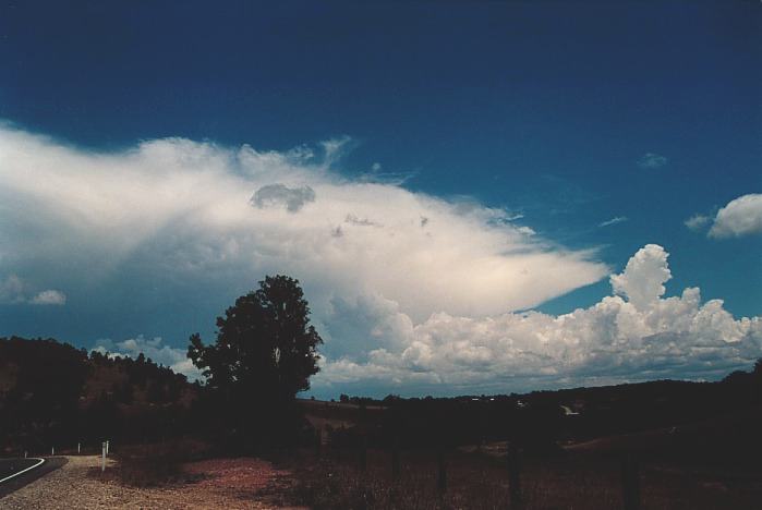 thunderstorm cumulonimbus_incus : Howes Valley, NSW   3 November 2000