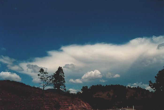 thunderstorm cumulonimbus_incus : Howes Valley, NSW   3 November 2000