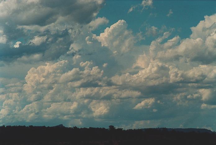 cumulus congestus : Muswellbrook, NSW   3 November 2000