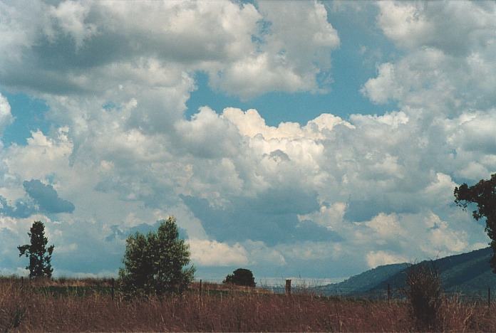 cumulus congestus : Bingara, NSW   4 November 2000