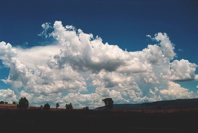 cumulus congestus : Bingara, NSW   4 November 2000