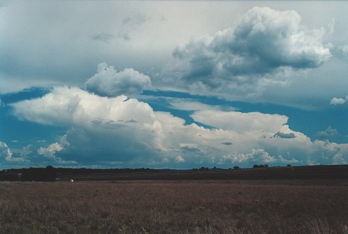 anvil thunderstorm_anvils : Inverell, NSW   4 November 2000