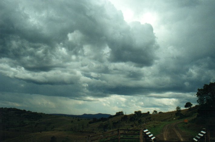 cumulonimbus thunderstorm_base : Richmond Range, NSW   4 November 2000