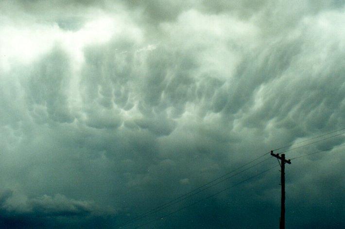 mammatus mammatus_cloud : Richmond Range, NSW   4 November 2000