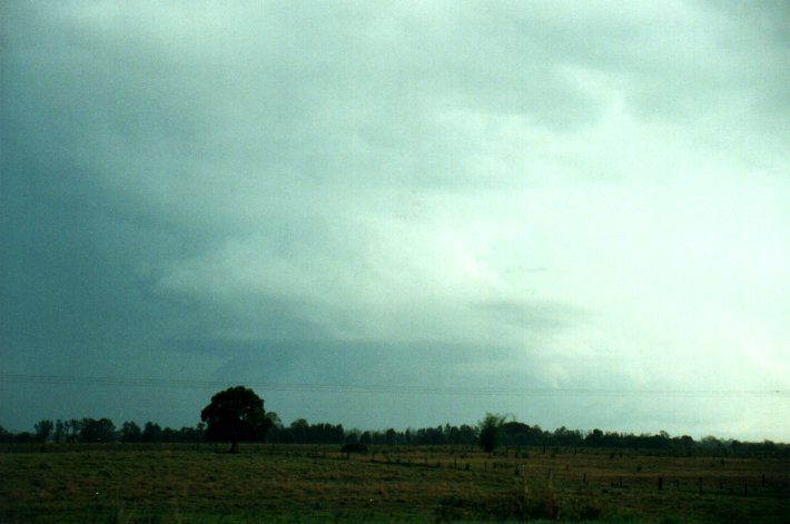 cumulonimbus thunderstorm_base : E of Casino, NSW   4 November 2000