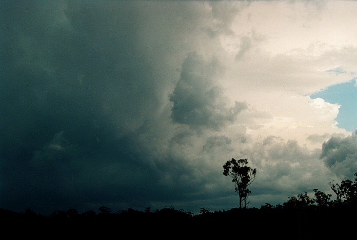 cumulonimbus supercell_thunderstorm : Coffs Harbour, NSW   5 November 2000