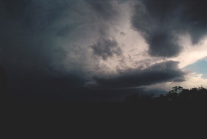 cumulonimbus thunderstorm_base : Corindi Beach, NSW   5 November 2000