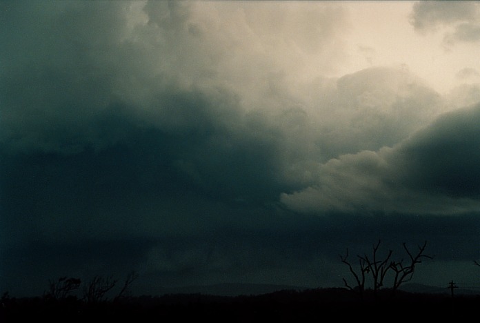 cumulonimbus thunderstorm_base : Corindi Beach, NSW   5 November 2000